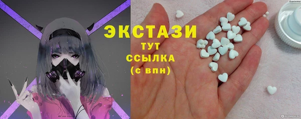 spice Богородицк