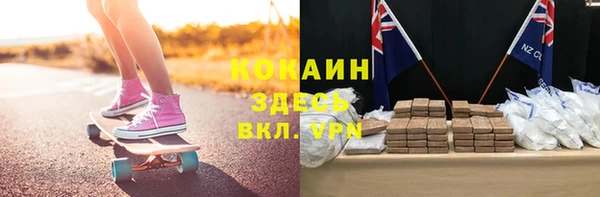 спайс Богданович