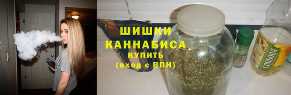 спайс Богданович