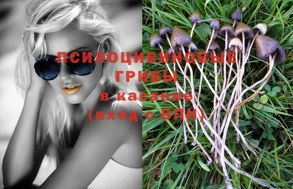 спайс Богданович