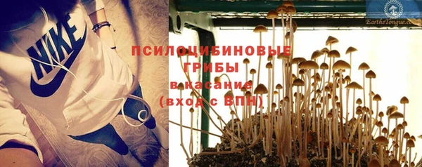 spice Богородицк