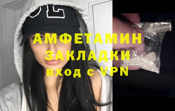 spice Богородицк