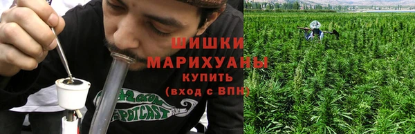 спайс Богданович