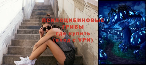 спайс Богданович
