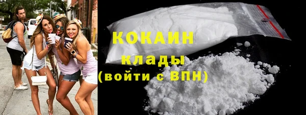 spice Богородицк